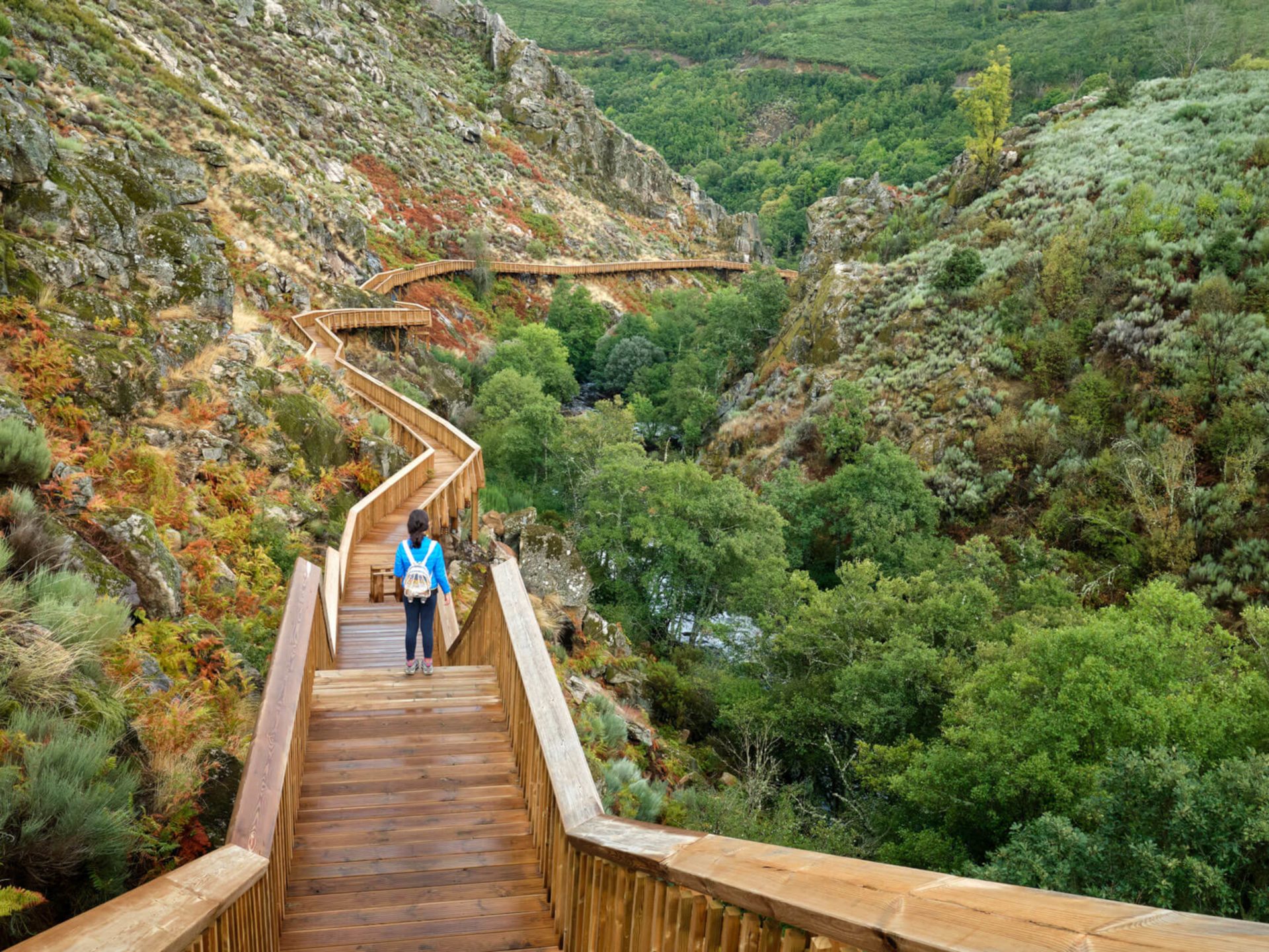 Passadiços do Mondego © Rui Neto / Município da Guarda