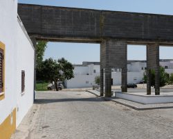 Malagueira by Pedro Guilherme, 2021